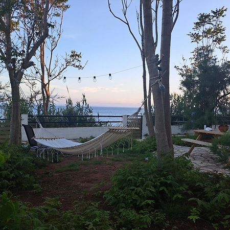 Foivos Seaside Apartments Agios Georgios  Exteriér fotografie